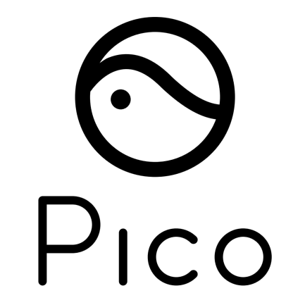 https://www.pico-interactive.com/eu/en/index.html